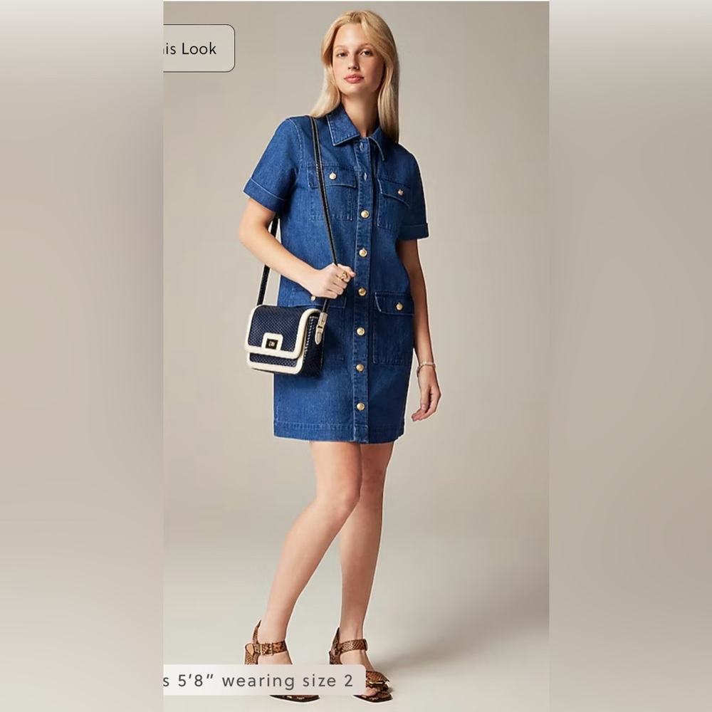 J. Crew Blue Denim Button-Front Mini Dress